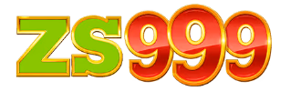 ZS999